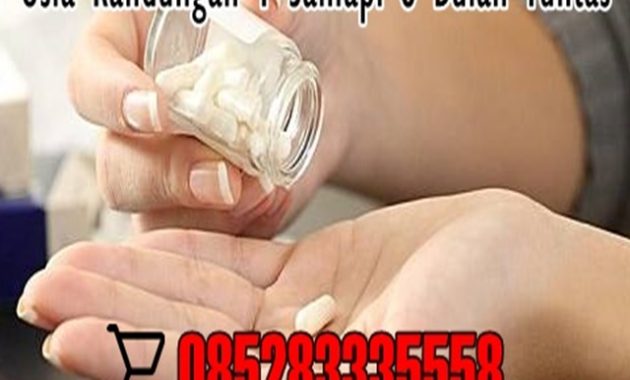 Jual Obat Aborsi Papua