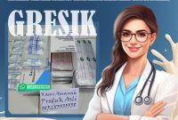 Jual Obat Aborsi Gresik